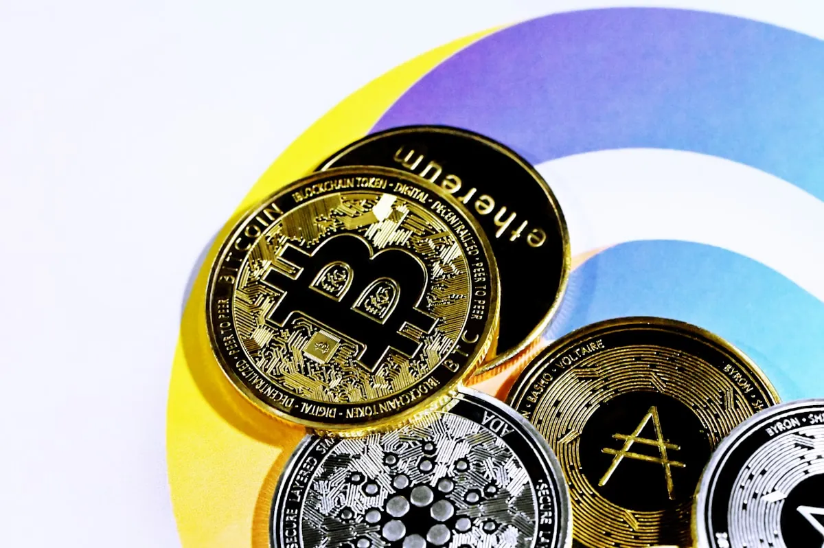 Phân loại altcoin theo mục đích — không phải tất cả đều giống nhau
